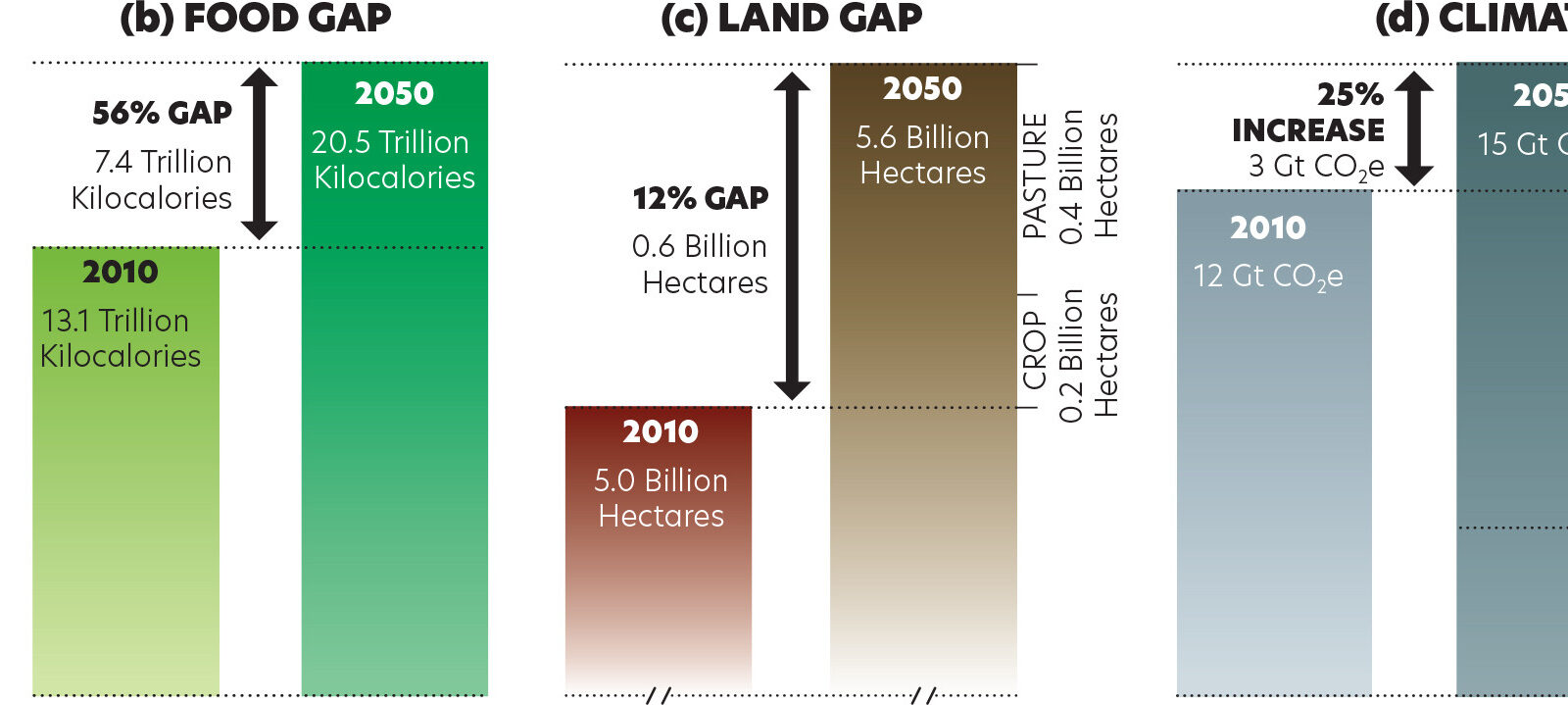 The Next Global Shockwave: What AI Could Do to Economies, Jobs, and Power