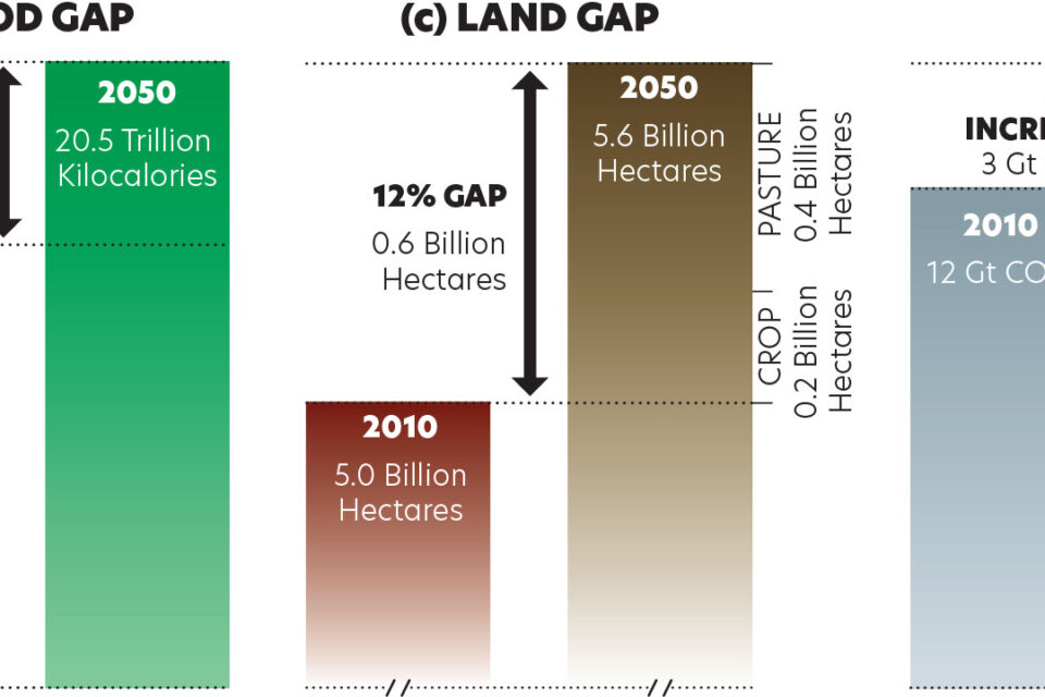 The Next Global Shockwave: What AI Could Do to Economies, Jobs, and Power
