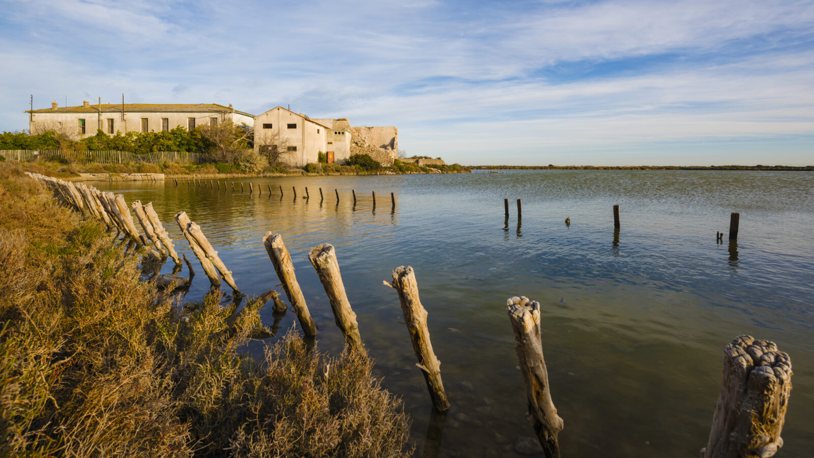 The Factory Becomes the Constraint: Where AI and Sensors Actually Matter