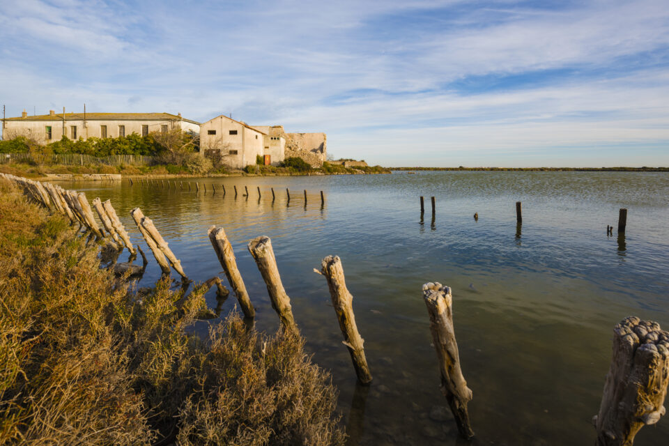 The Factory Becomes the Constraint: Where AI and Sensors Actually Matter